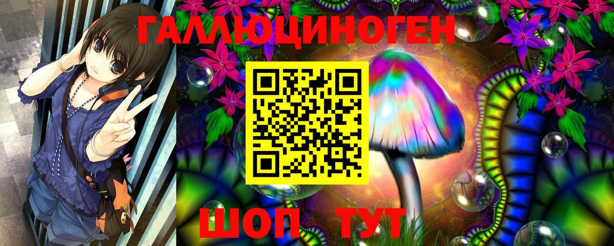 Псилоцибиновые грибы прущие грибы  Вход с VPN  Кропоткин 