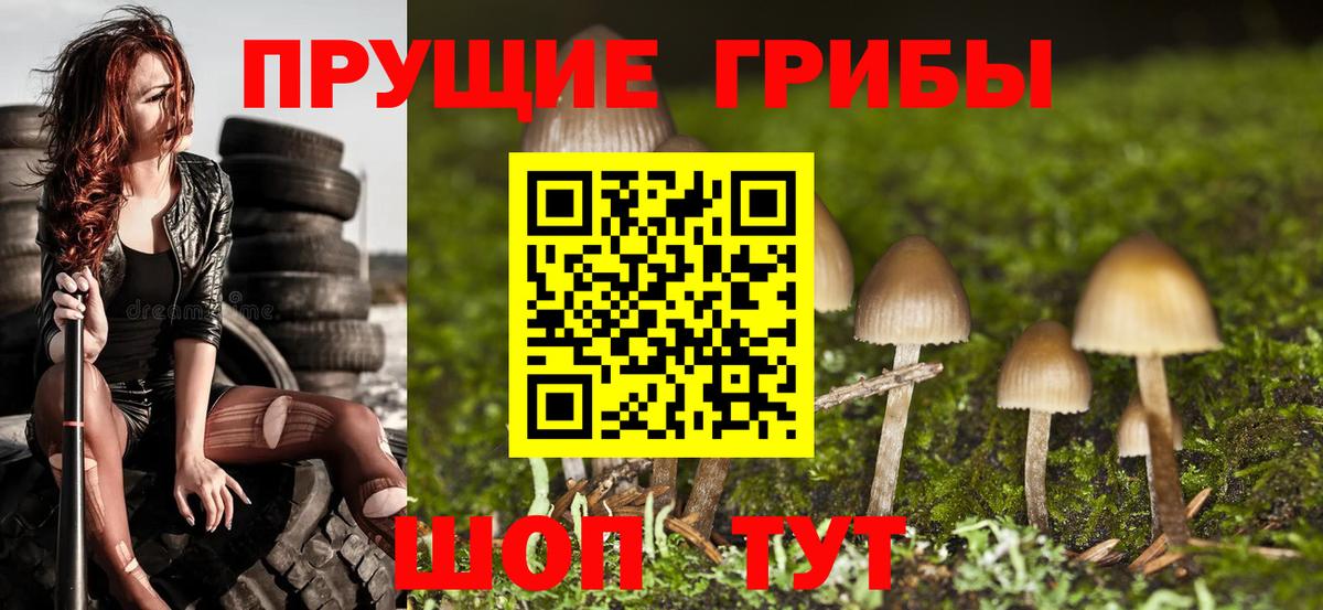 Галлюциногенные грибы мицелий Кропоткин